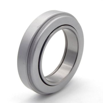 CL0091 CL0091