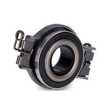 CL0137 CL0137