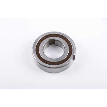 CL0337 CL0337
